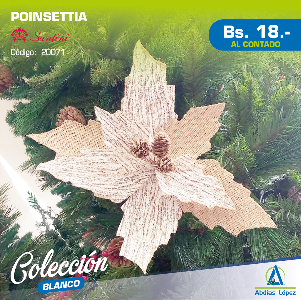 POISENTIA 8P CHAMPANA P-831-AMX006-1770M